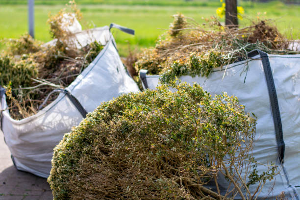 Best Electronics Removal Services  in Hancock, MI