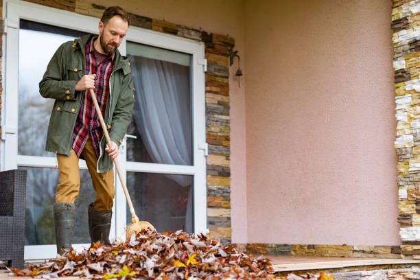 Best Yard Cleanup Services  in Hancock, MI